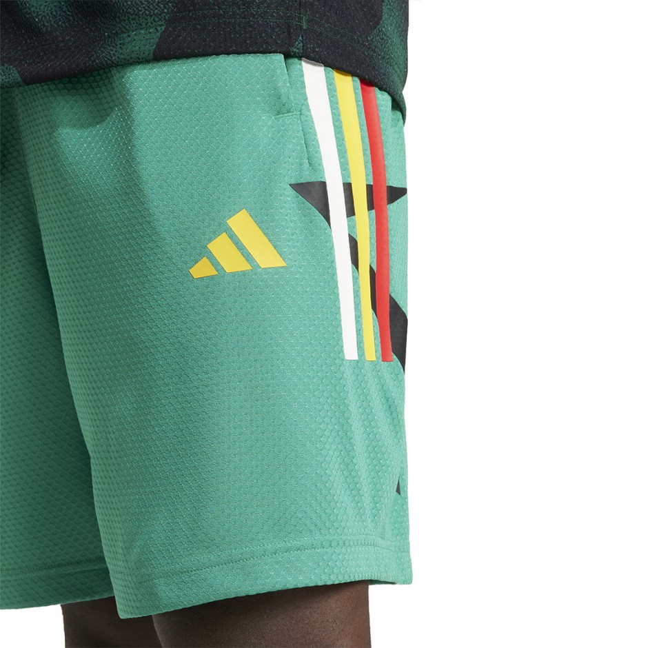 Ανδρική Βερμούδα Πράσινη - adidas Sportswear House Of Tiro Nations Pack