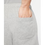 NIKE SPORTSWEAR CLUB FLEECE MEN'S SHORTS BV2772-063 Grey Image 2