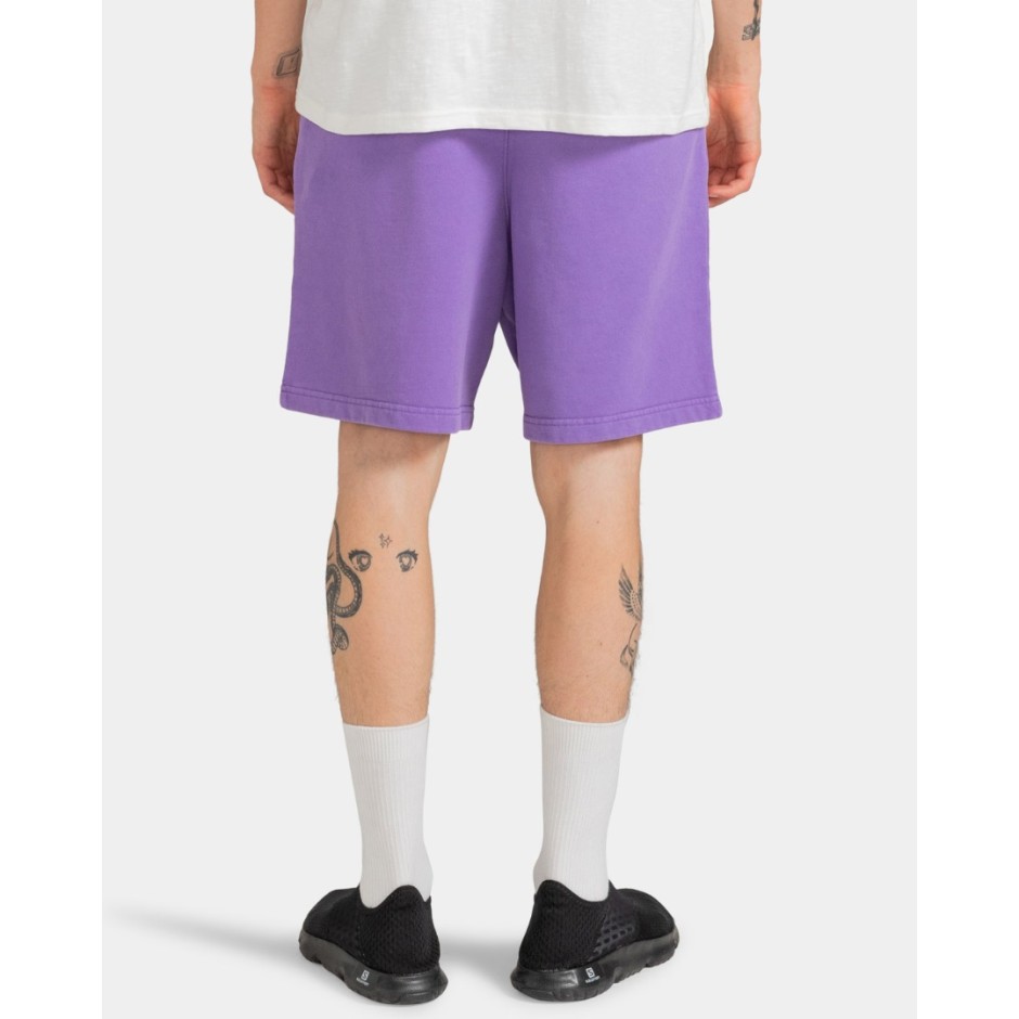 ELEMENT CORNELL 3.0 SHORT ELYNS03001-PMS0 Purple