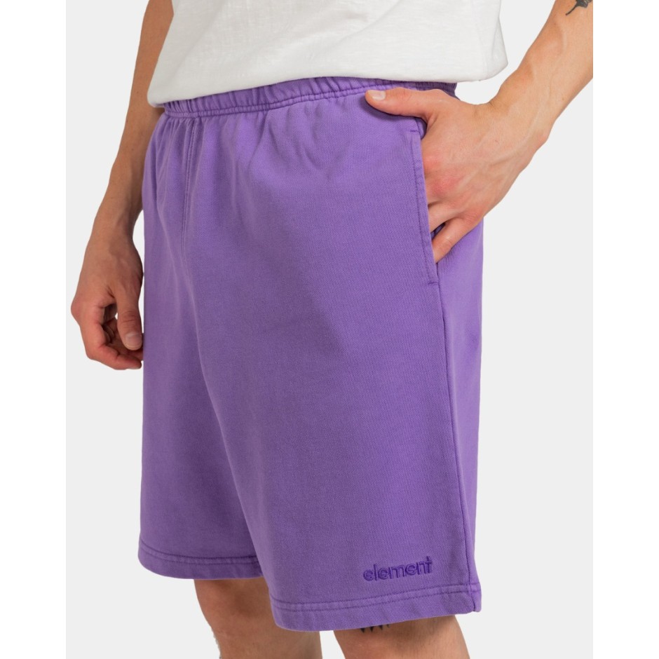 ELEMENT CORNELL 3.0 SHORT ELYNS03001-PMS0 Purple
