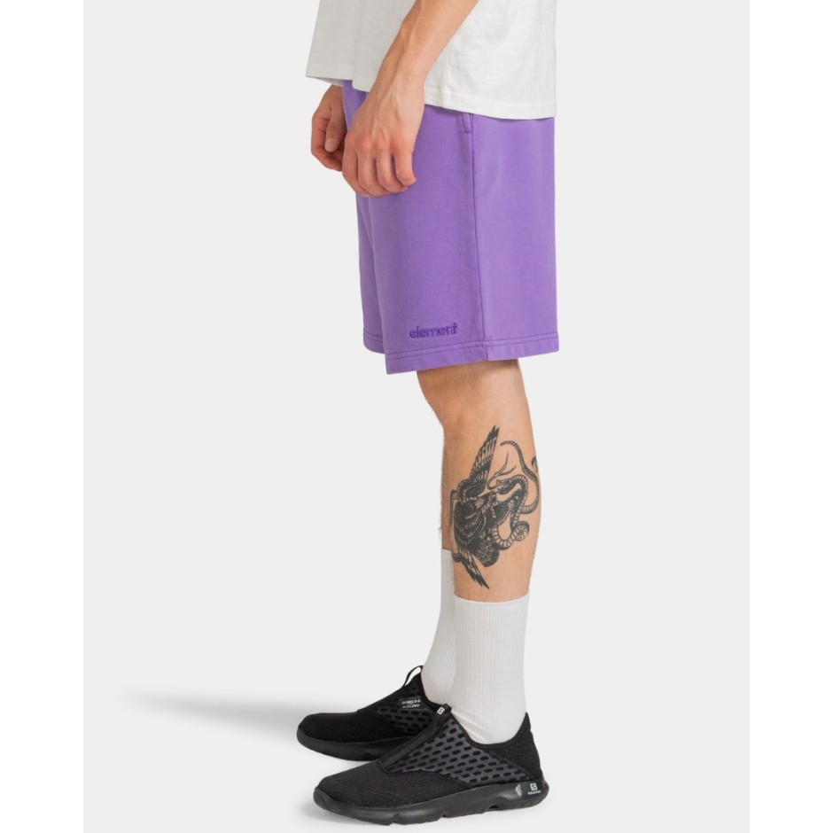 ELEMENT CORNELL 3.0 SHORT ELYNS03001-PMS0 Purple