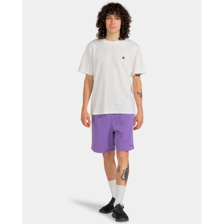 ELEMENT CORNELL 3.0 SHORT ELYNS03001-PMS0 Purple