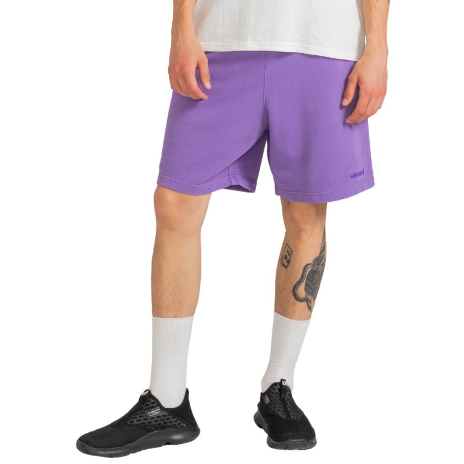 ELEMENT CORNELL 3.0 SHORTS Μωβ