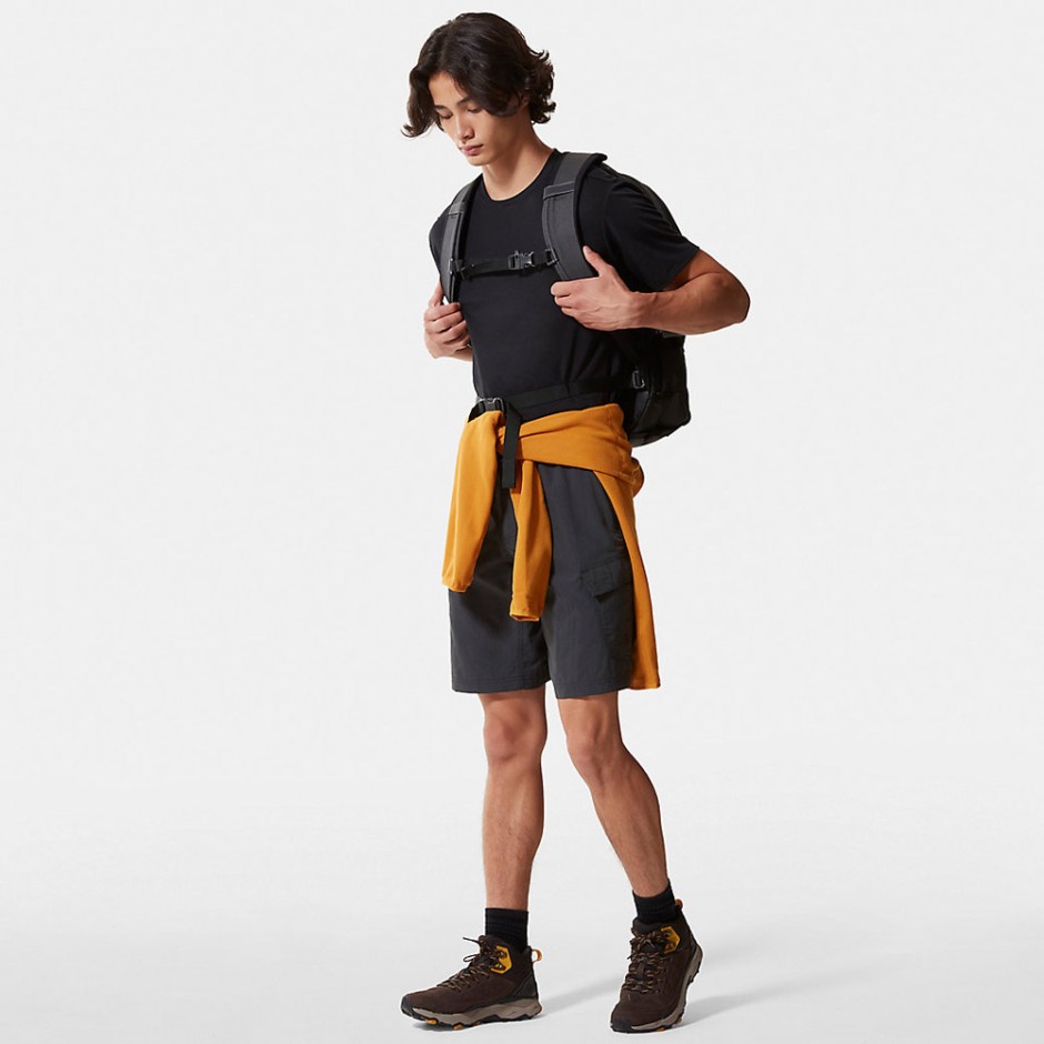 Ανδρική Βερμούδα Cargo Ανθρακί - The North Face Horizon Circular