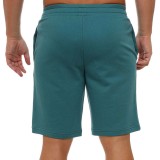 Ανδρική Βερμούδα Πετρόλ - PUMA Essentials 2 Colour No. 1 Logo Εικόνα 0