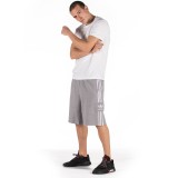adidas Originals SHORTS FM9880 Grey Image 3