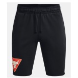 UNDER ARMOUR PROJECT ROCK TERRY TRI SHORTS Μαύρο