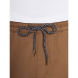 VOLCOM FRICKIN EW SHORT 19 Καφέ Εικόνα 3