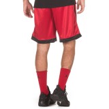 JORDAN SHIMMER BASKETBALL SHORTS AJ1122-687 Red Image 0