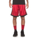 JORDAN SHIMMER BASKETBALL SHORTS AJ1122-687 Red Image 