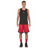 JORDAN SHIMMER BASKETBALL SHORTS AJ1122-687 Red Image 2