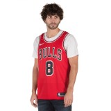 NIKE ICON EDITION SWINGMAN CHICAGO BULLS 864465-666 Red Image 
