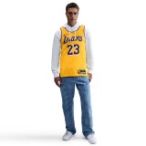 Ανδρική Εμφάνιση NBA Κίτρινη - Nike Los Angeles Lakers Icon Edition 2022/23  Εικόνα 6