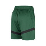 Ανδρική Βερμούδα Μπάσκετ Πράσινη - Nike Boston Celtics Dri-FIT Prac Icon+ 8in Εικόνα 0