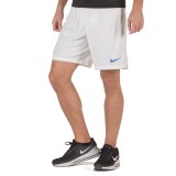 NIKE BREATHE GREECE STADIUM HOME SHORTS 893934-100 White Image 