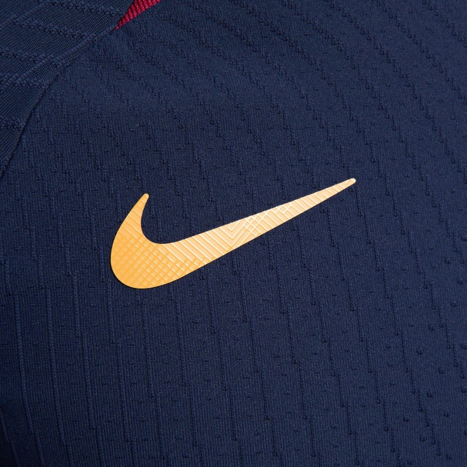 NIKE PSG MNK DFADV STRKELT SSTOP K DX2893-499 Blue