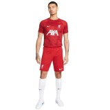 Nike Liverpool F.C. Academy Pro Κόκκινο - Ανδρική Μπλούζα Ποδοσφαίρου  Εικόνα 3