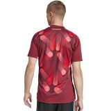 adidas Performance DFB A JSY JF2605 Bordeaux Image 0