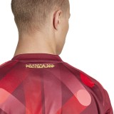 adidas Performance DFB A JSY JF2605 Bordeaux Image 2