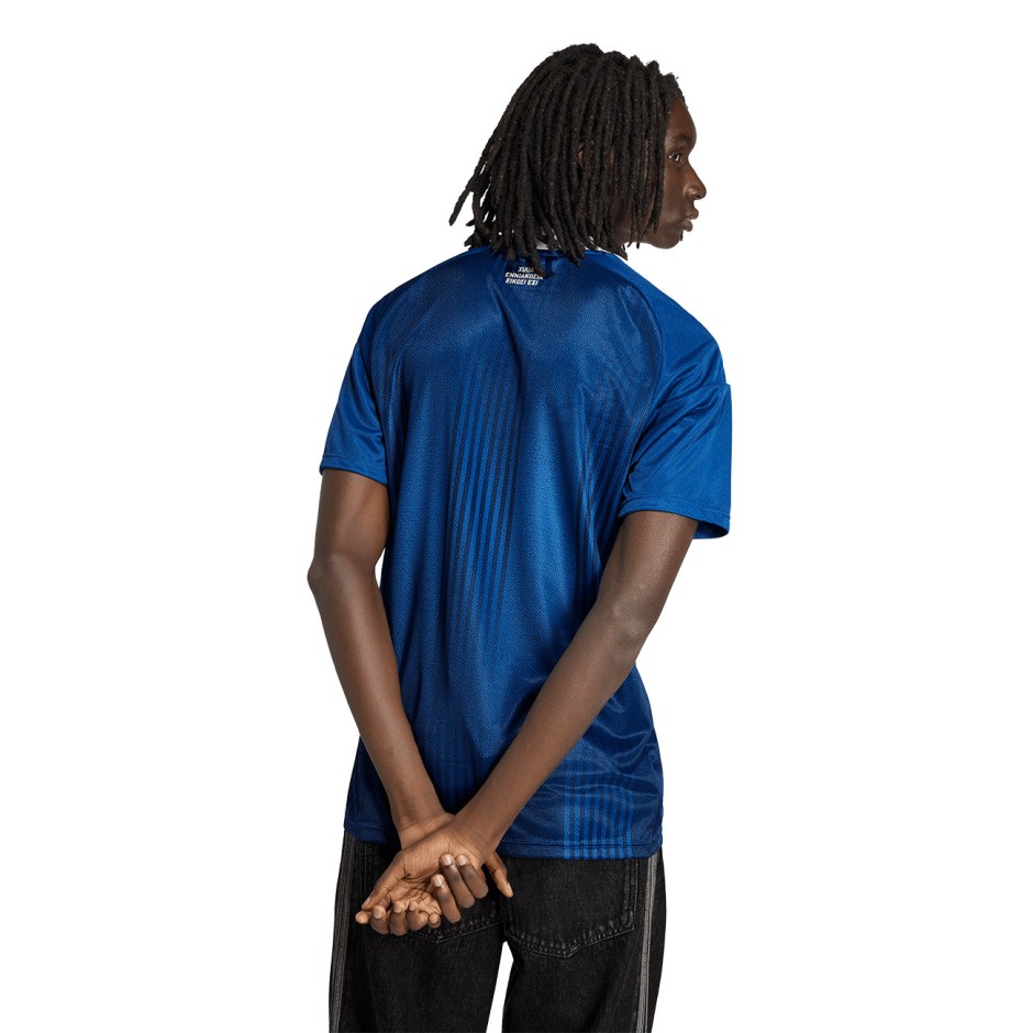 Ανδρική Εμφάνιση Ποδοσφαίρου Μπλε - adidas Performance Greece 26 Away Jersey
