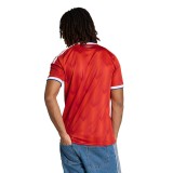 Ανδρική Εμφάνιση Ποδοσφαίρου Κόκκινη - adidas Performance Chile 26 Home Jersey Εικόνα 0
