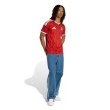Ανδρική Εμφάνιση Ποδοσφαίρου Κόκκινη - adidas Performance Chile 26 Home Jersey Εικόνα 3