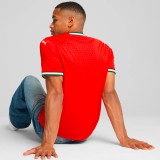 Ανδρική Εμφάνιση Ποδοσφαίρου Μπορντό - PUMA Portugal 2025 Home Jersey Εικόνα 0