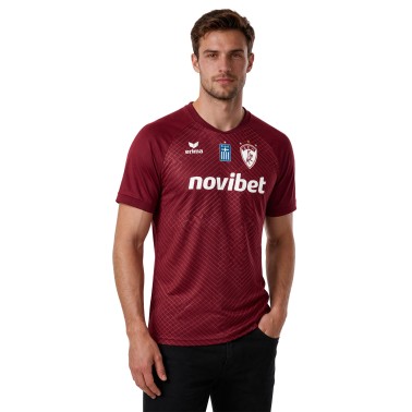 Ανδρική Εμφάνιση Ποδοσφαίρου Βυσσινί - AEL FC Erima Home Jersey