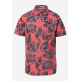 FUNKY BUDDHA FBM005-055-05-SPICE CORAL Coral Image 3