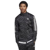 adidas Sportswear M TIRO ADV TT Ανθρακί Εικόνα 