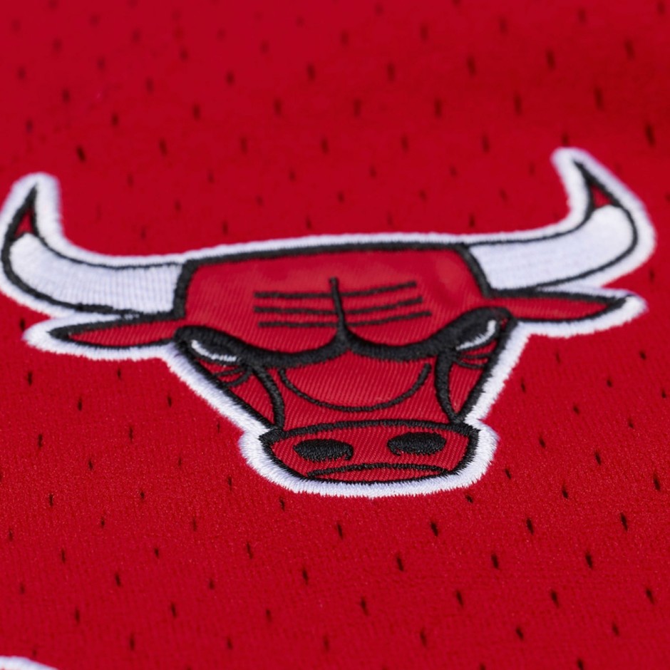 Ανδρικό Baseball Jersey NBA Κόκκινο - Mitchell & Ness Chicago Bulls Head Coach