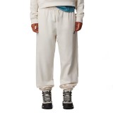 THE NORTH FACE W ESSENTIAL JOGGER NF0A8A6KQLI-QLI White Image 