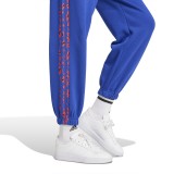 adidas sportswear W ANML 3S PT IY1662 Blue Image 2