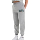 Γυναικείο Παντελόνι Φόρμα ELLESSE CAMMINA JOG PANT Γκρί SGP15914-112  Εικόνα 