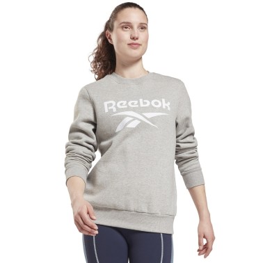 Γυναικεία Μακρυμάνικη Μπλούζα Reebok Sport RI BL FLEECE CREW Γκρί GS9377 