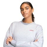 Γυναικεία Μακρυμάνικη Μπλούζα Γκρι - adidas Sportswear Seasonal Essentials Colorpop Εικόνα 1