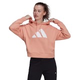 adidas Performance W FI 3B HOODIE H24082 Somon Image 