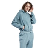 Reebok Classics CL ND FLEECE HOODIE H41360 Πετρόλ Εικόνα 