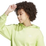 adidas Sportswear VARSITY SCRIBBLE HOODIE Πράσινο Εικόνα 1