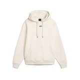 VANS FLYING V OS FT LS HOODIE FLYING V VN0A7RMDDJR-DJR Beige Image 4