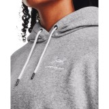 UNDER ARMOUR ICON FLEECE OS HOODIE 1379495-012 Grey Image 1