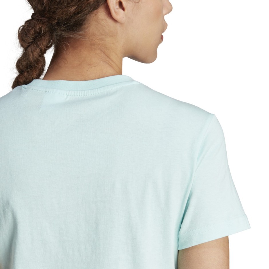adidas Performance TERREX CLASSIC LOGO TEE Τιρκουάζ 