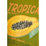 FUNKY BUDDHA  FBL013-158-04-PICKLE ΠΡΑΣΙΝΟ Εικόνα 1