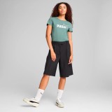 PUMA ESS METALLIC NO. 1 LOGO TEE 631536-30 Veraman Image 1