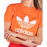 adidas Originals TREFOIL TEE ED7494 Orange Image 1