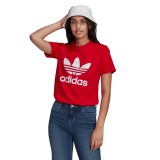 adidas Originals TREFOIL TEE GN2902 Κόκκινο Εικόνα 