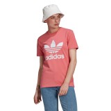 adidas Originals ADICOLOR CLASSICS TREFOIL T-SHIRT GN2907 Ροζ Εικόνα 
