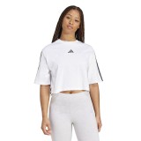 adidas sportswear W 3S SJ TLR T JD4999 White Image 