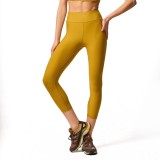 BAYA 45170-GOLDEN Χρυσό Εικόνα 