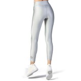 GSA SUMMER GLOW LEGGINGS PLAIN COLORS 17-2001-25 SILVER GRAY Ασημί Εικόνα 0